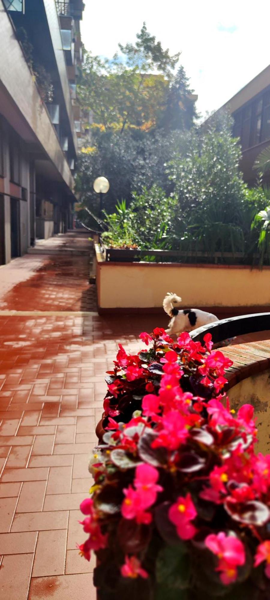 Gemme Fiorentine Apartments In Front Of The Train Station 5 Minutes From The Centre Free Parking Florence Exterior photo